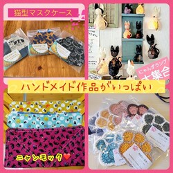 ねこ組福岡中央譲渡会in藤崎 サムネイル2