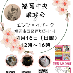 ねこ組福岡中央譲渡会　エンジョイパーク