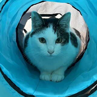 可愛いプリンセス♪ハルちゃん