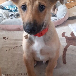 「ぼく」男の子