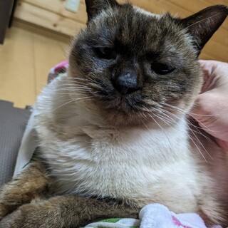 おっと～り、ウーちゃん！