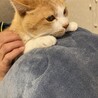 マユ、慶太