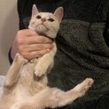 里親さんのお宅に無事お引き渡ししました