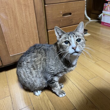 心配ありがとう♡一年前のあたちは復活して元気だった、今は見せられない、でも希望？あたちは負けない！諦めてないよ！！