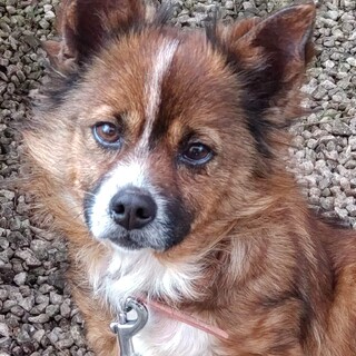 トライアル決まりました、ありがとう！