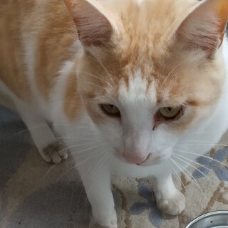 食欲旺盛、元気、よくしゃべる男の子！