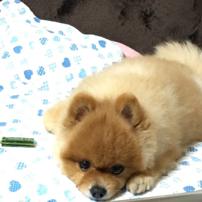 min22のカバー写真