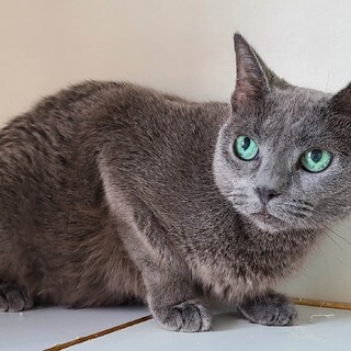 性格のいい女の子♪