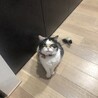 の写真