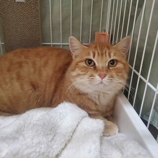 丸顔がかわいい♡甘えん坊な女の子