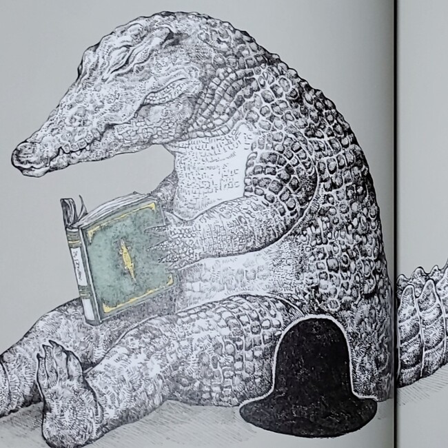 nikomaru37 のカバー写真