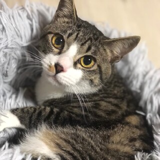 イケメン兄弟♪　太陽くん