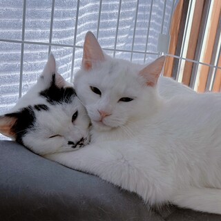 おっとりつくし&おっとり元気つかさ！