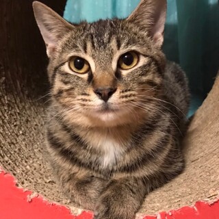 五郎とペア希望♪慎重派な伊予ちゃん