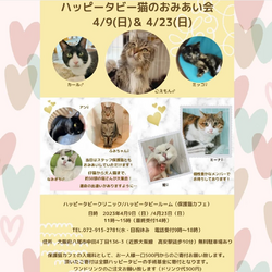 ハッピータビー猫のおみあい会