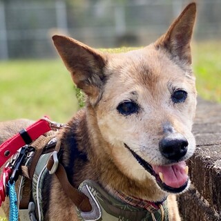 私も家族が欲しいな♡シニアの女の子にっきちゃん