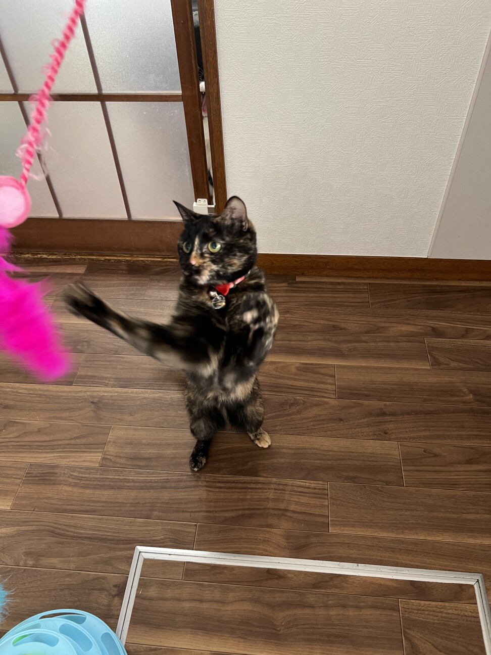ラム