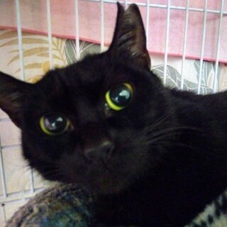 素敵なご家族の一員になりました☆彡