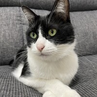 うたまる