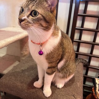 こんなデレデレ見たことない！くらい人好きです❤️