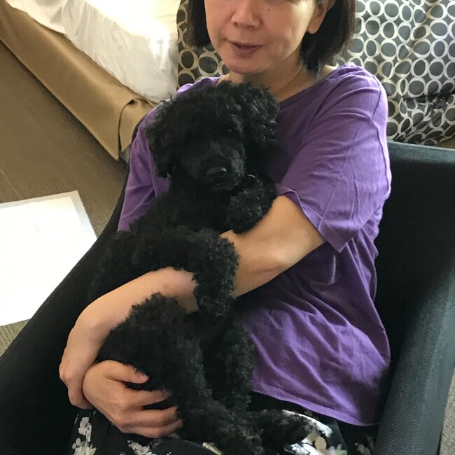 もっさんぬのカバー写真