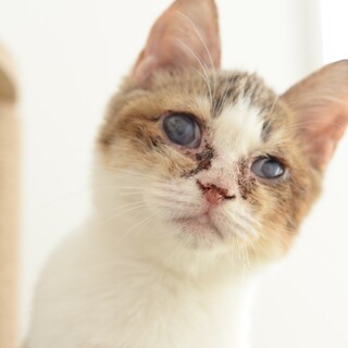 とっても性格の良い男の子【個別面会希望】