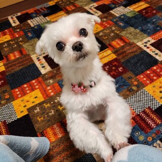 あんちゃんです❤️