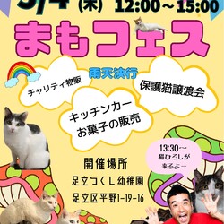 まもフェス サムネイル1