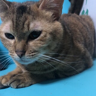 甘えん坊の女の子 2歳