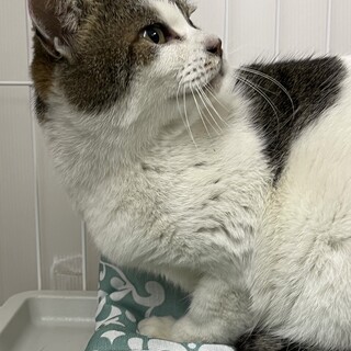 撫でられるのが大好きスリゴロ☆ベティ