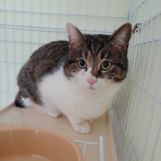 ちょっぴり照れ屋　丸顔が可愛い☆エイト