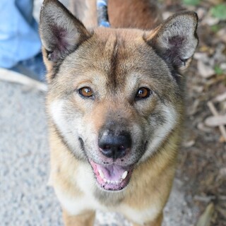 とてもフレンドリなソウジロウくん❤️