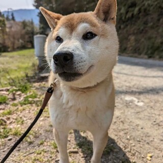 かっこいいトシアキ！