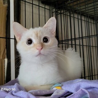 おもちゃ大好き♪ソラくん