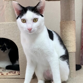 華奢な容姿　8ヶ月の男の子