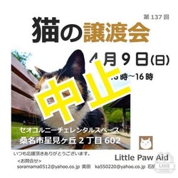 三重県桑名市4月9日(日)リトルパウエイド譲渡会