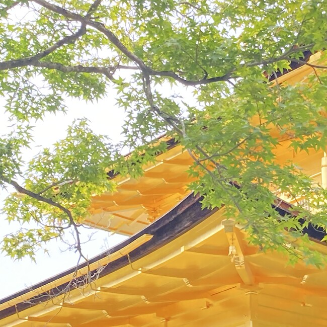 おちょちゃんのカバー写真