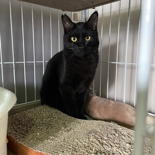 ズッキーのトライアルＯＫ！（予約中）