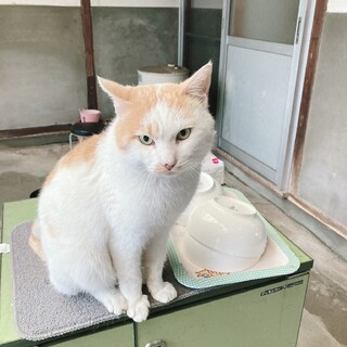 人馴れしている男の子