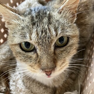 小柄で人懐っこい可愛い女の子♡