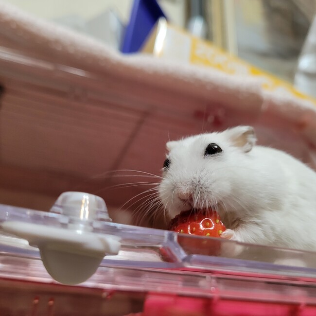 kumi.yのカバー写真