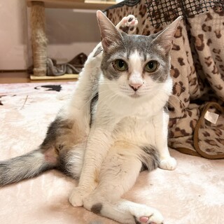 【4/9 押上】大和撫子ママ ♡アニーちゃん