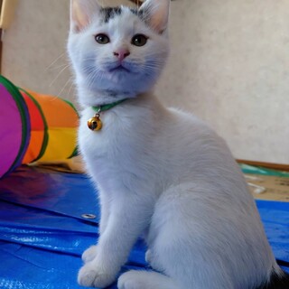 つぶらな瞳★ミドリくん