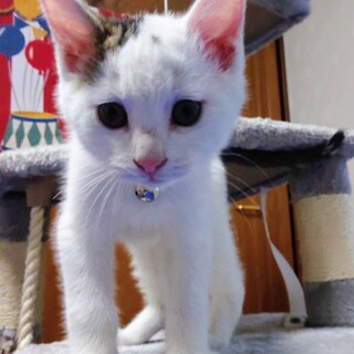 人懐っこい★アオくん