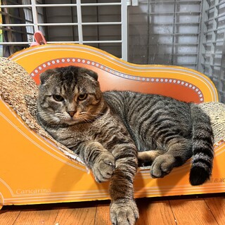 【4/9 押上】超ナレナレ♡スコパパくん