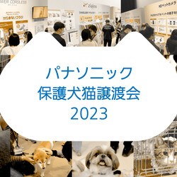 パナソニック保護犬猫譲渡会 サムネイル1