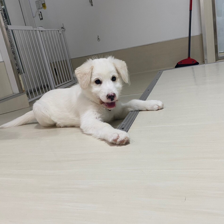 なるとのカバー写真