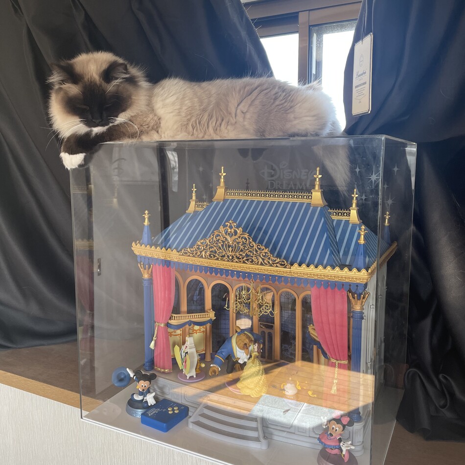 Nalu(ナル)のカバー写真