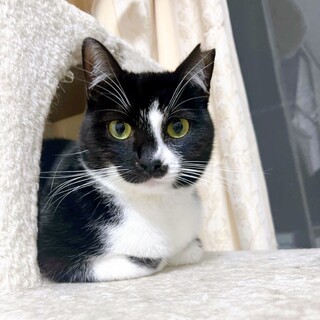 ダブりの為こちらは募集終了