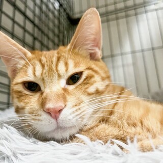 ダブりの為こちらは募集終了